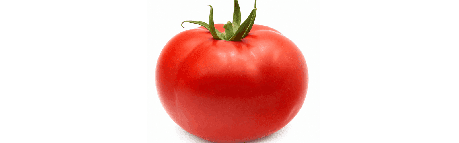 Adriana Tomato Round I Single — ripe fruit, Agriva Seeds variety