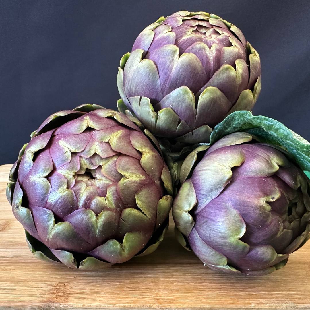 AGA23 Artichoke — ripe fruit, Agriva Seeds variety