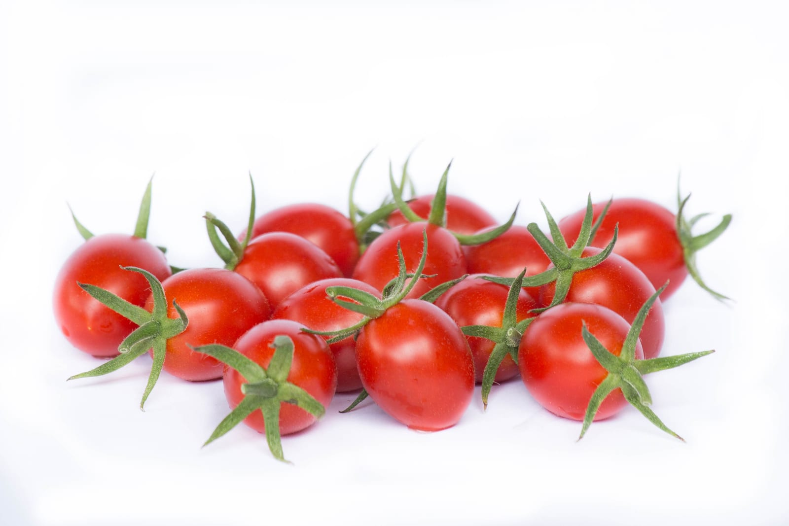 Allegra Red Mini Plum Single — ripe fruit, Agriva Seeds variety