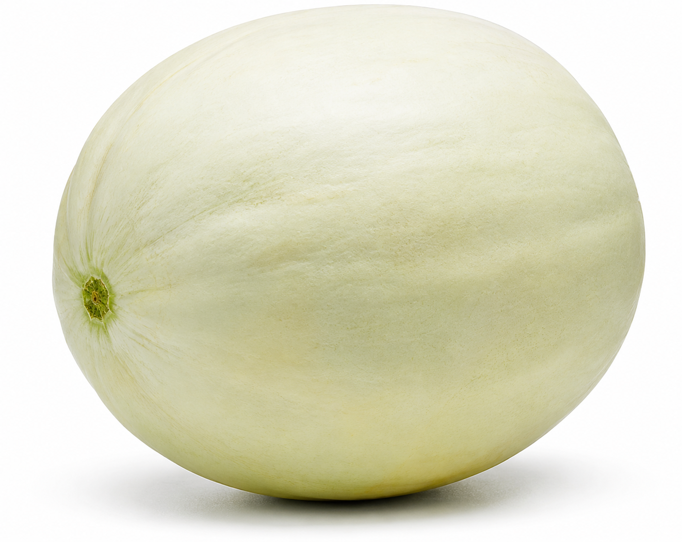 Alon Melon Honey Dew — ripe fruit, Agriva Seeds variety