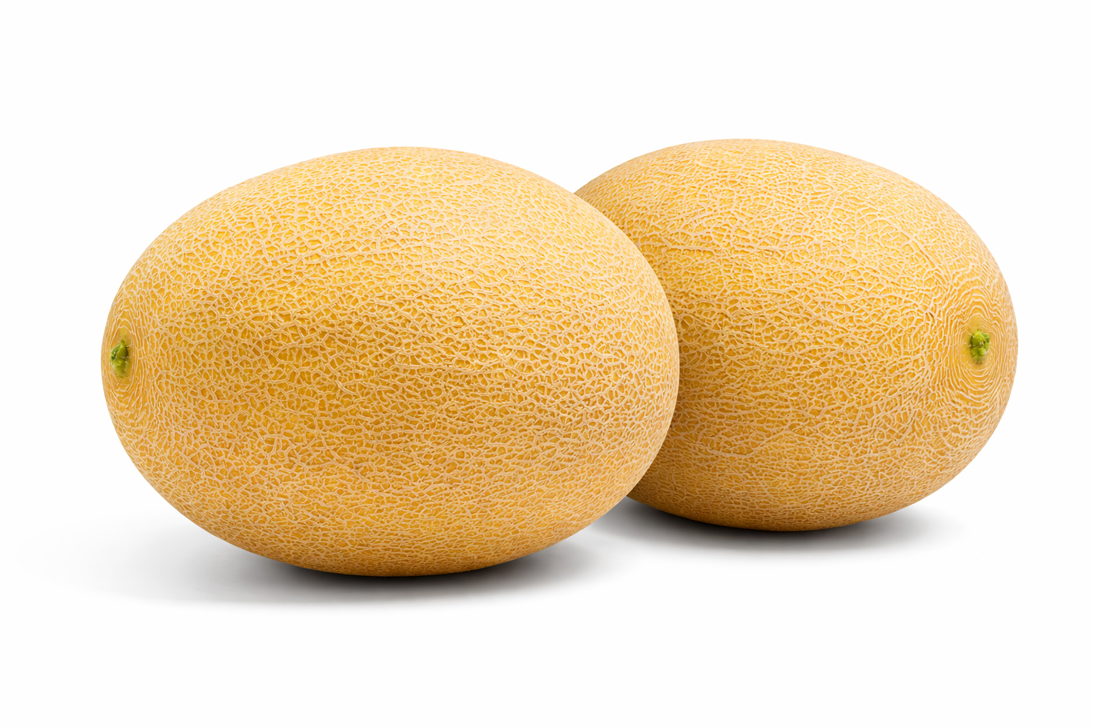 Ananova Melon Ananas Type — ripe fruit, Agriva Seeds variety