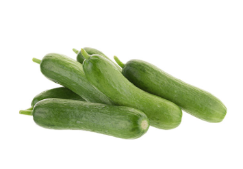 Bambino Cucumber Baby — ripe fruit, Agriva Seeds variety