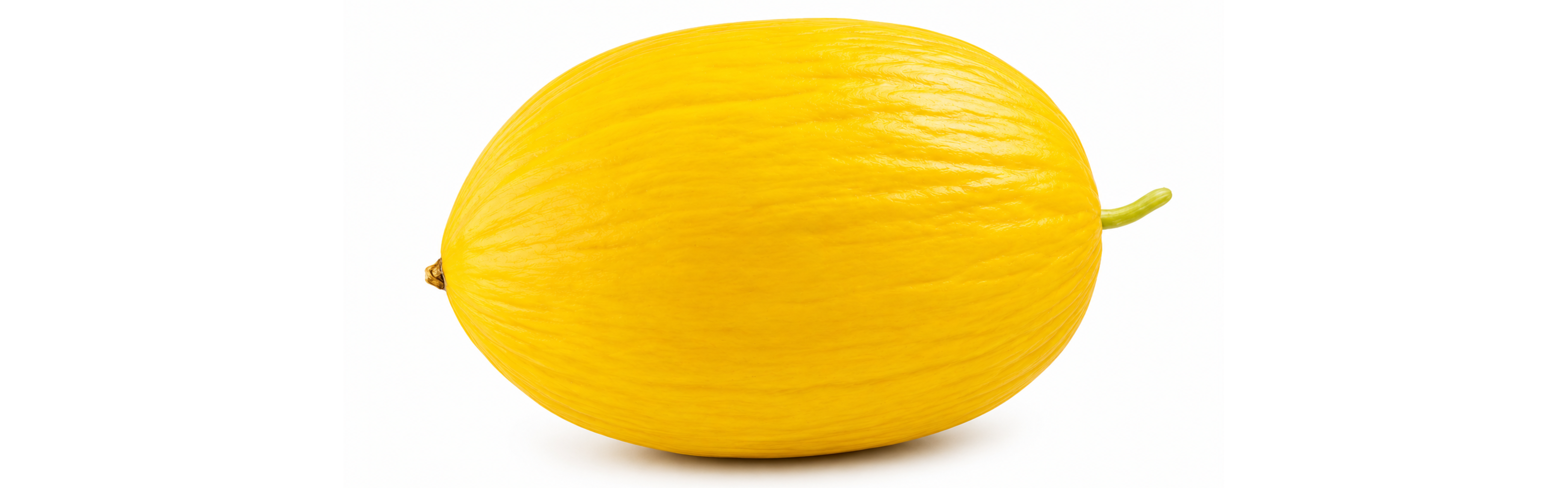 Canarilla Melon Yellow Canary — ripe fruit, Agriva Seeds variety
