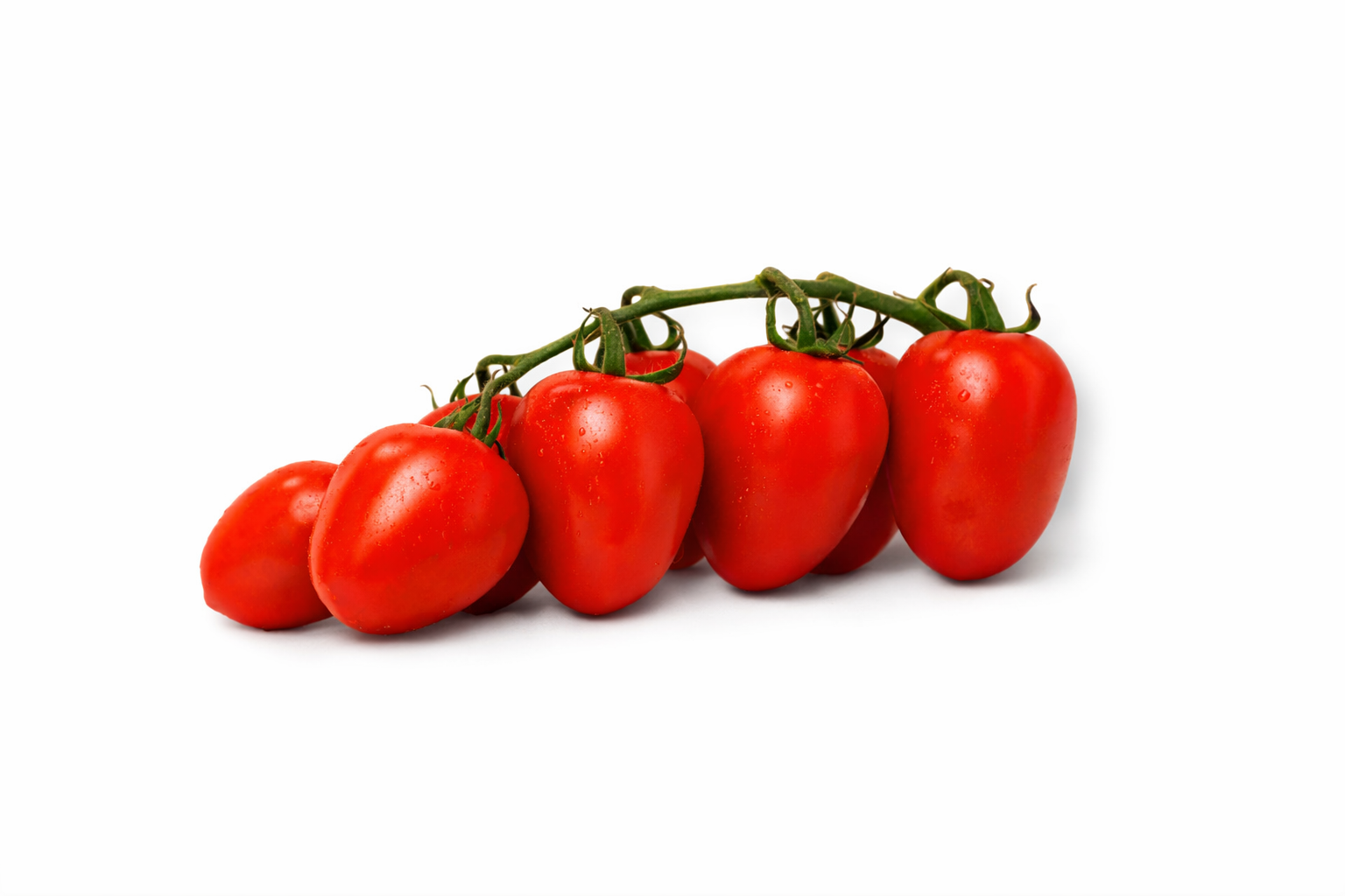 Clara Roma I Single — ripe fruit, Agriva Seeds variety