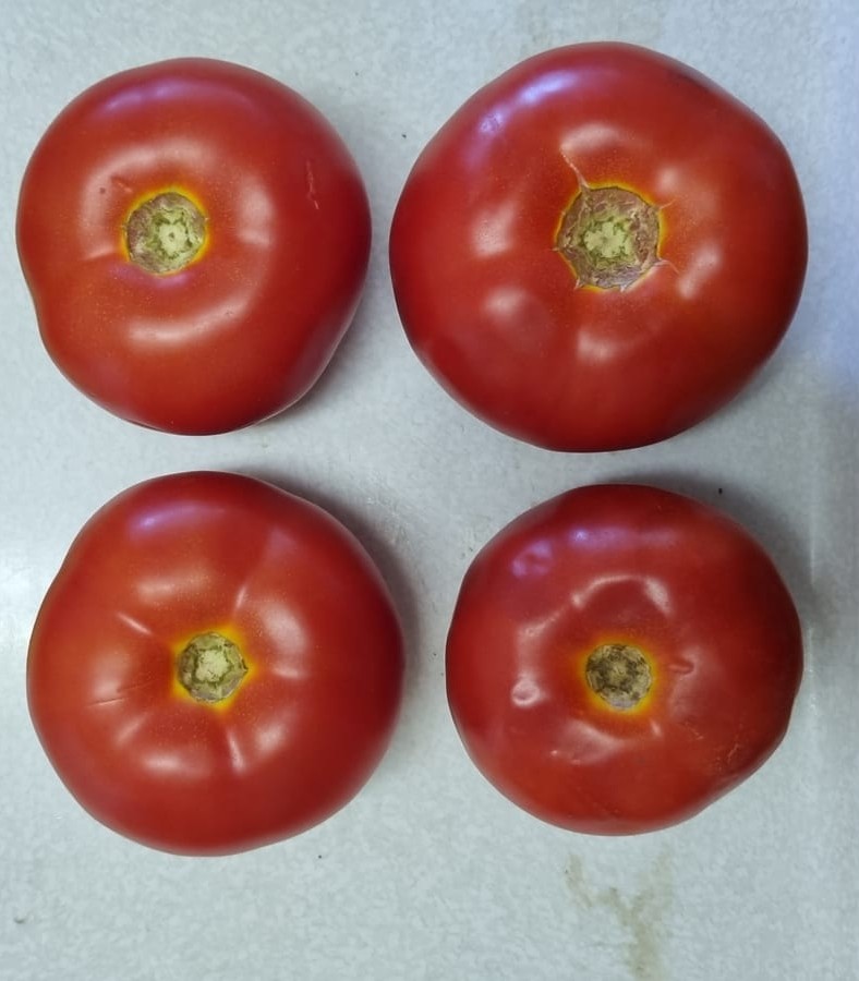 Domira Beef Tomato — view 3 of 5