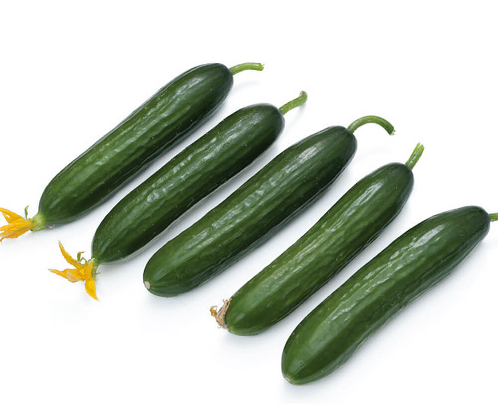 Evergreen Cucumber Bet Alpha — view 2 of 6