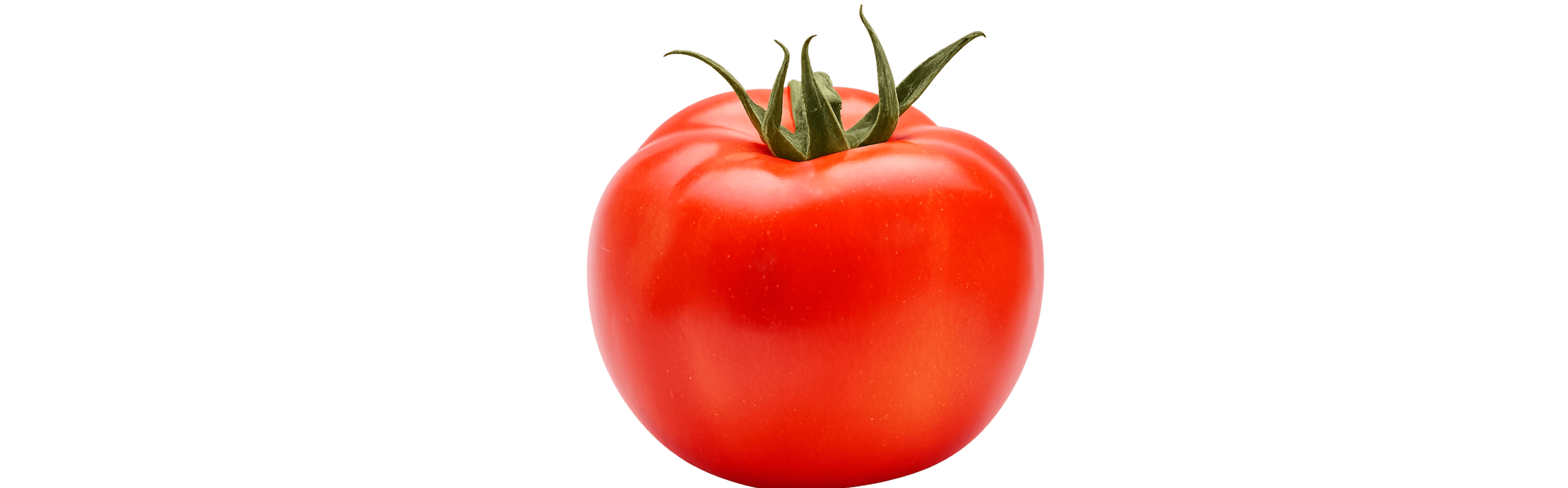 Gabriella Tomato Round I Single — ripe fruit, Agriva Seeds variety