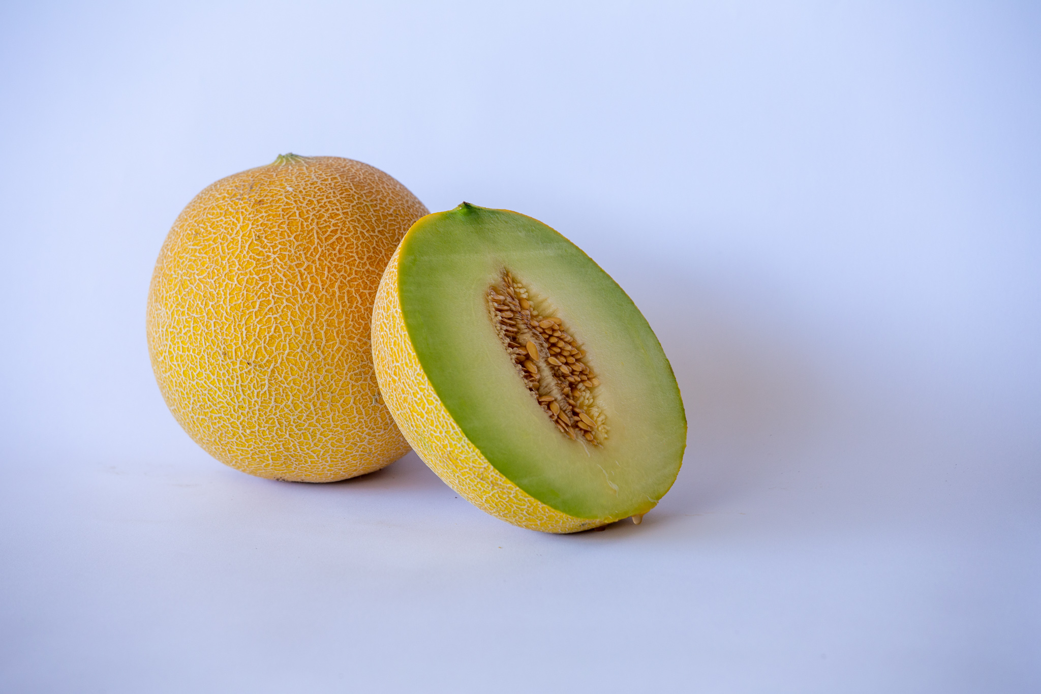 Galia Gold Melon Galia — ripe fruit, Agriva Seeds variety