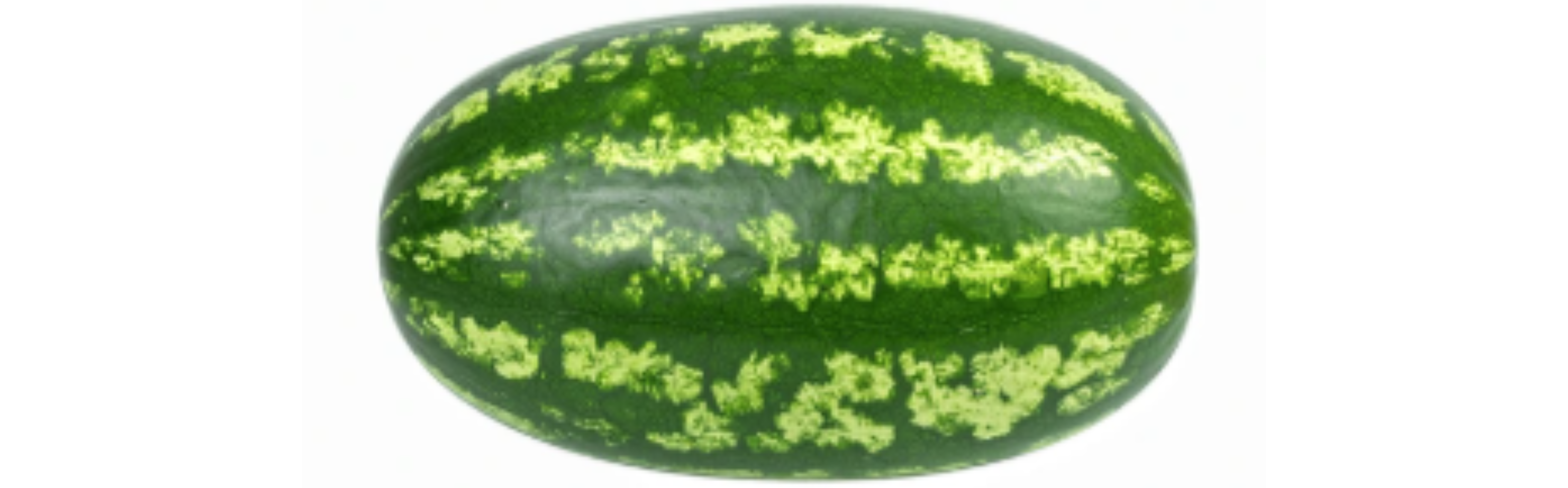 Granito Watermelon Seeded — ripe fruit, Agriva Seeds variety