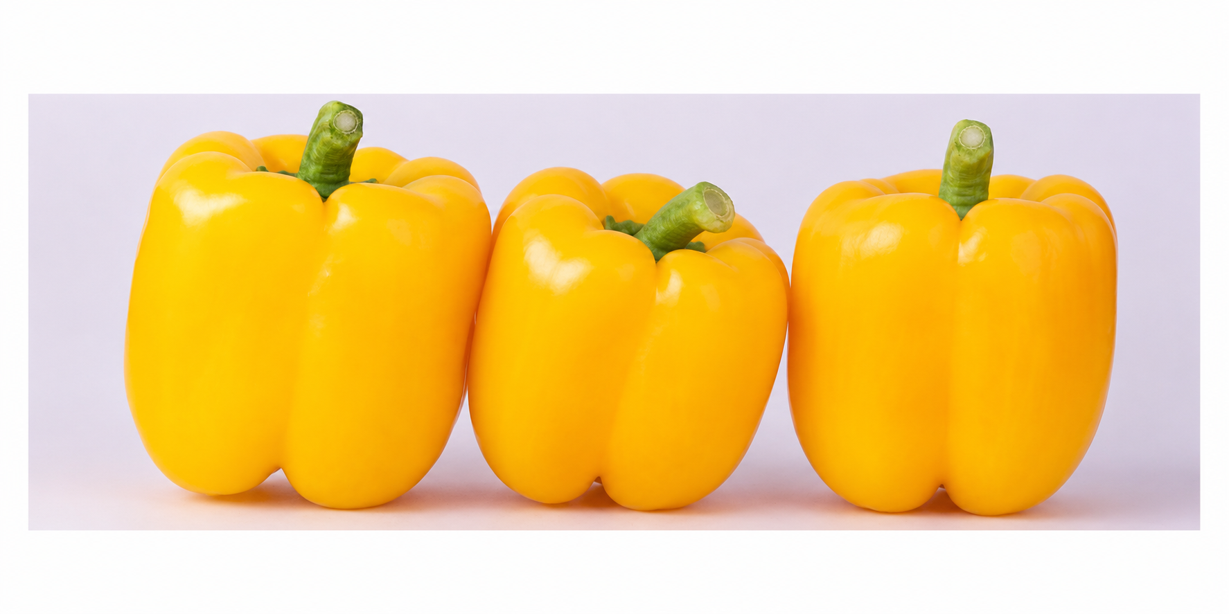 Isabella Pepper Yellow Blocky — ripe fruit, Agriva Seeds variety