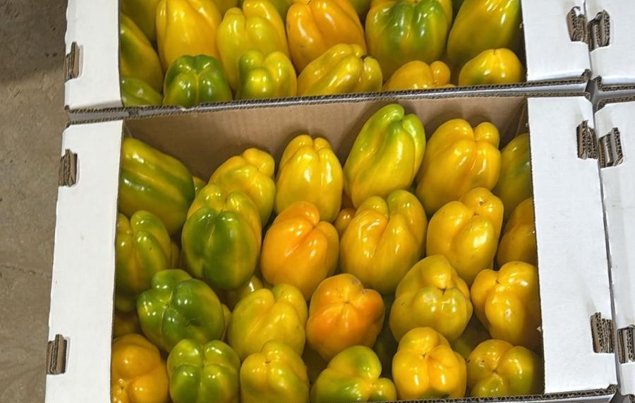 Isabella Pepper Yellow Blocky — view 4 of 4