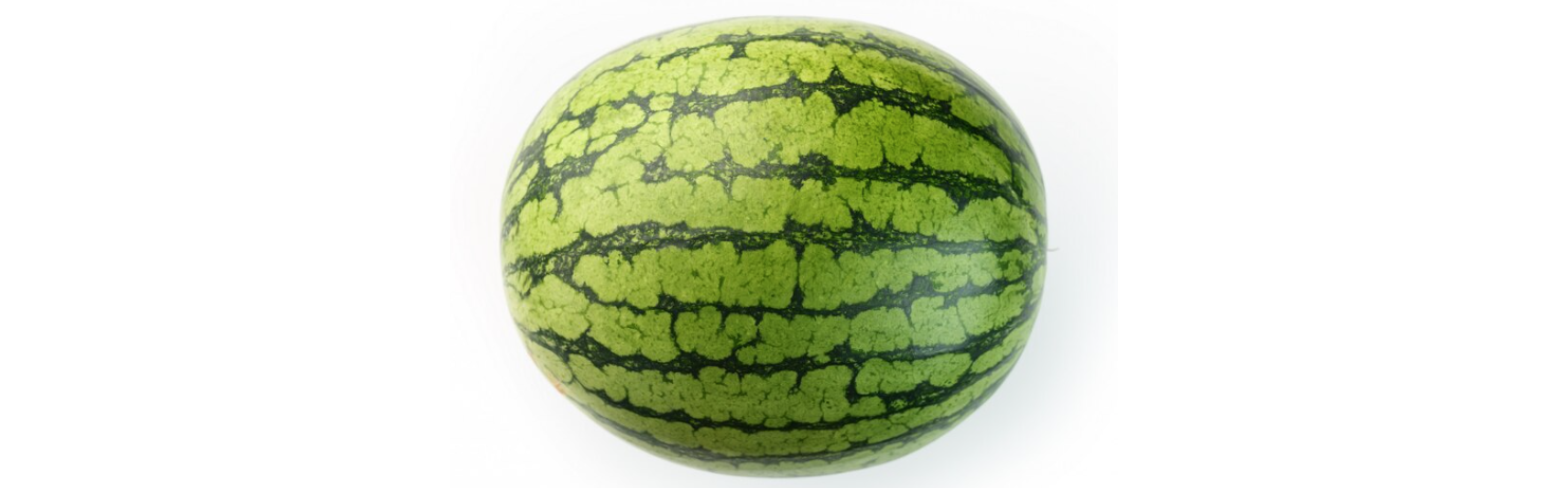 Karmeno Watermelon Seedless — ripe fruit, Agriva Seeds variety