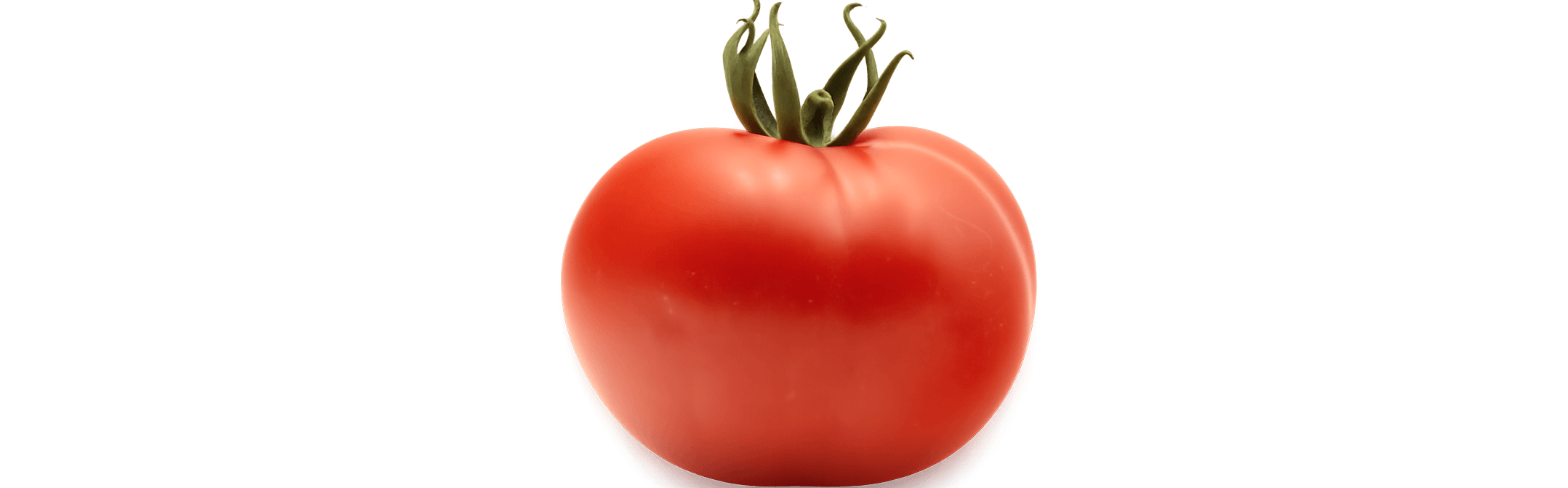 Natalia Tomato Round I Single — ripe fruit, Agriva Seeds variety