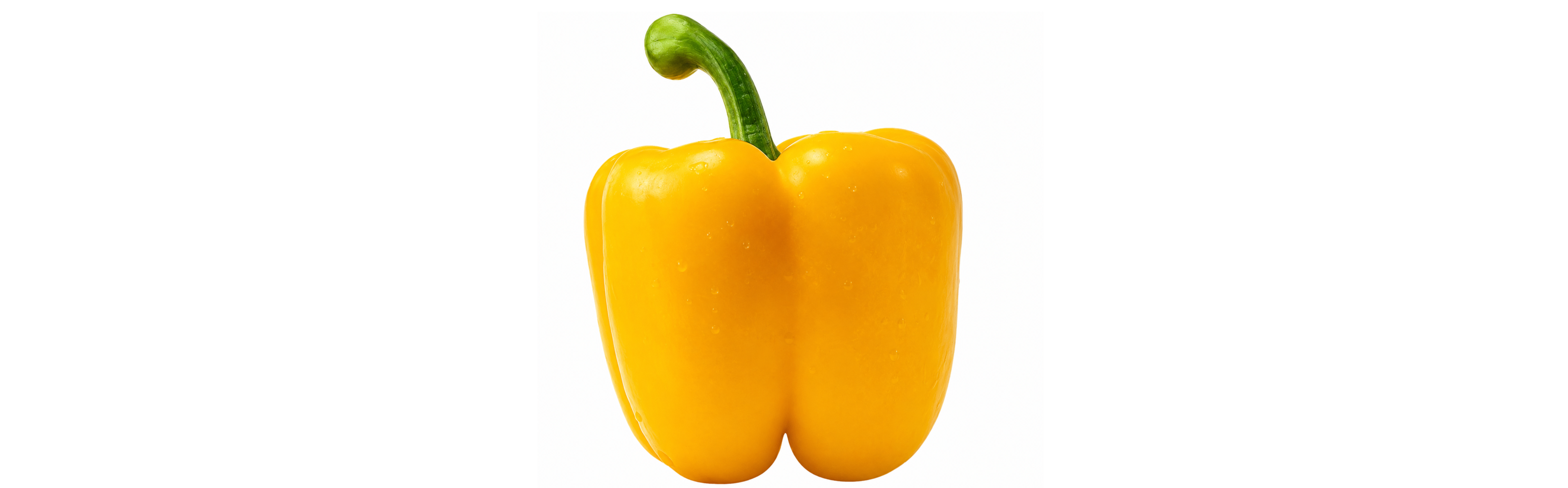 Nina Pepper Blocky Yellow — ripe fruit, Agriva Seeds variety