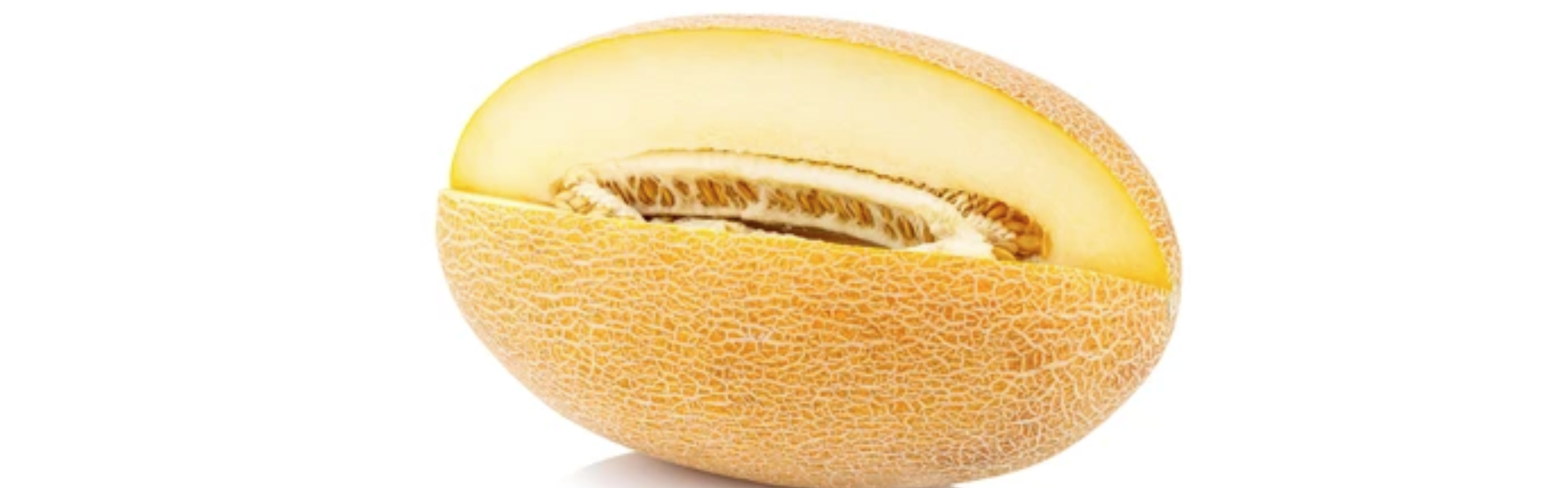 Orenda Melon Ananas — ripe fruit, Agriva Seeds variety