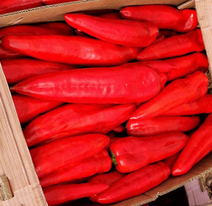 Red Sahara Conical Pepper Red — view 2 of 5
