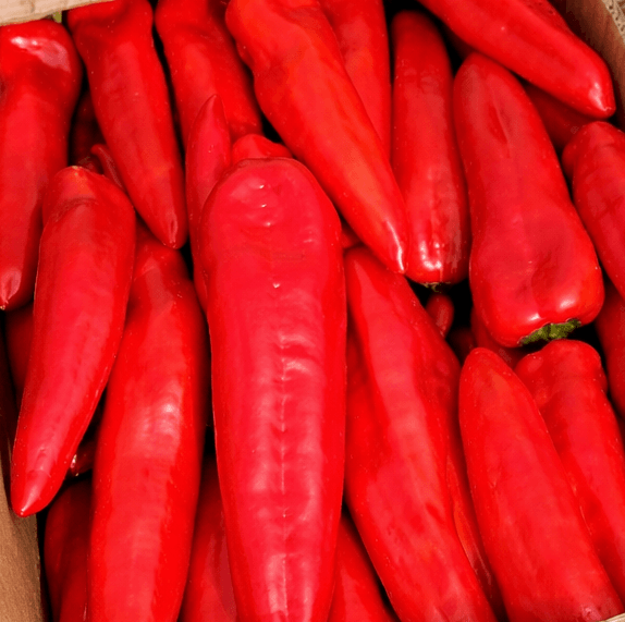 Red Sahara Conical Pepper Red — view 3 of 5