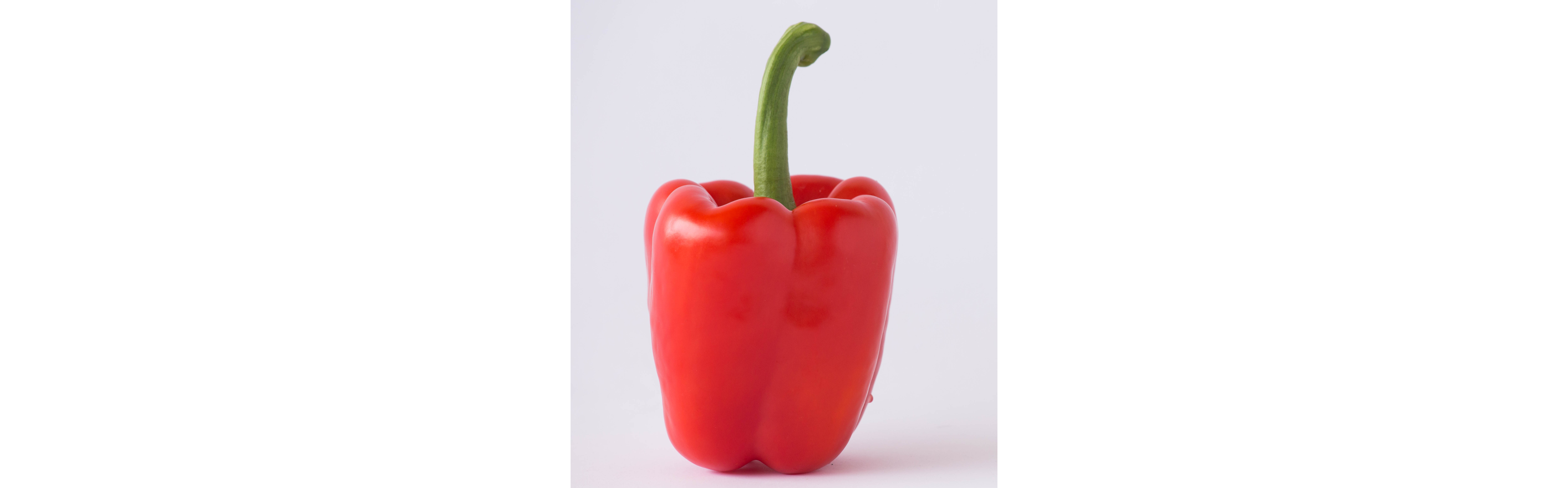 Sofia Pepper Red Blocky — ripe fruit, Agriva Seeds variety