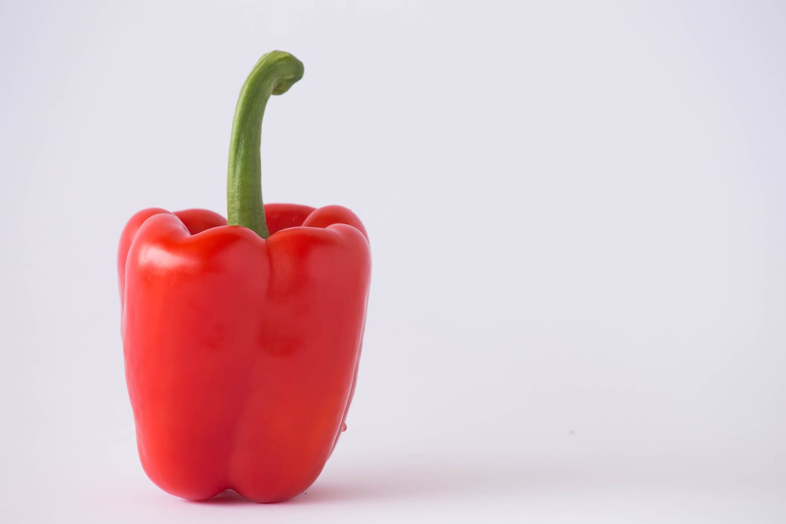 Sofia Pepper Red Blocky — view 2 of 4