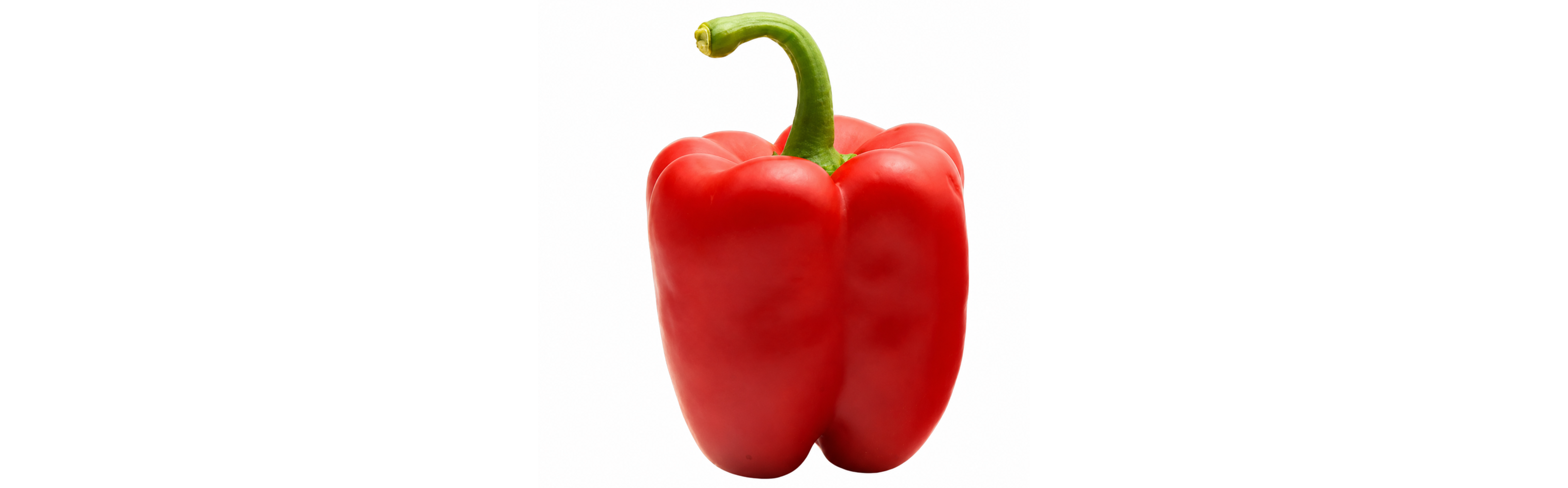 Solidar Pepper Red Blocky — ripe fruit, Agriva Seeds variety