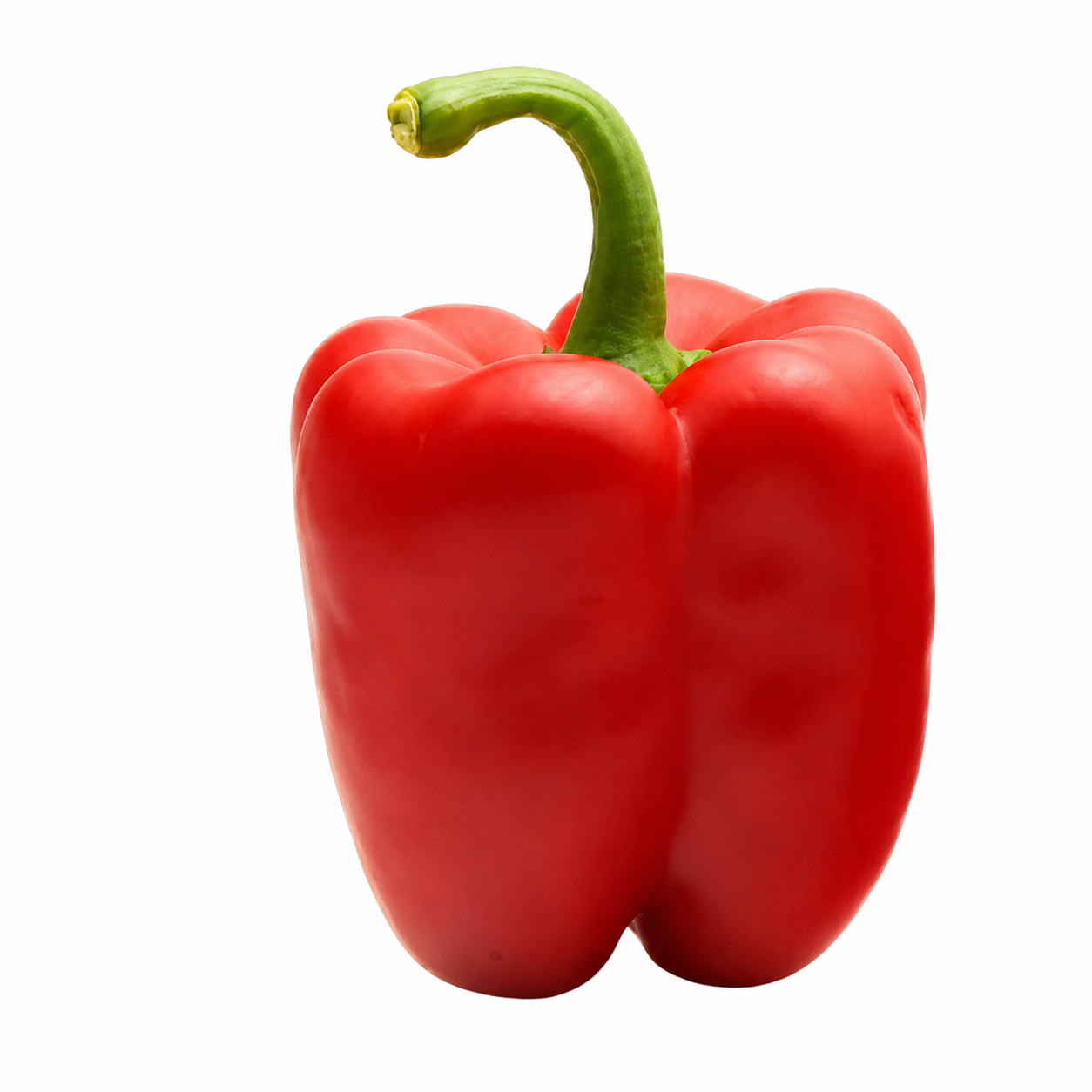 Solidar Pepper Red Blocky — view 5 of 5