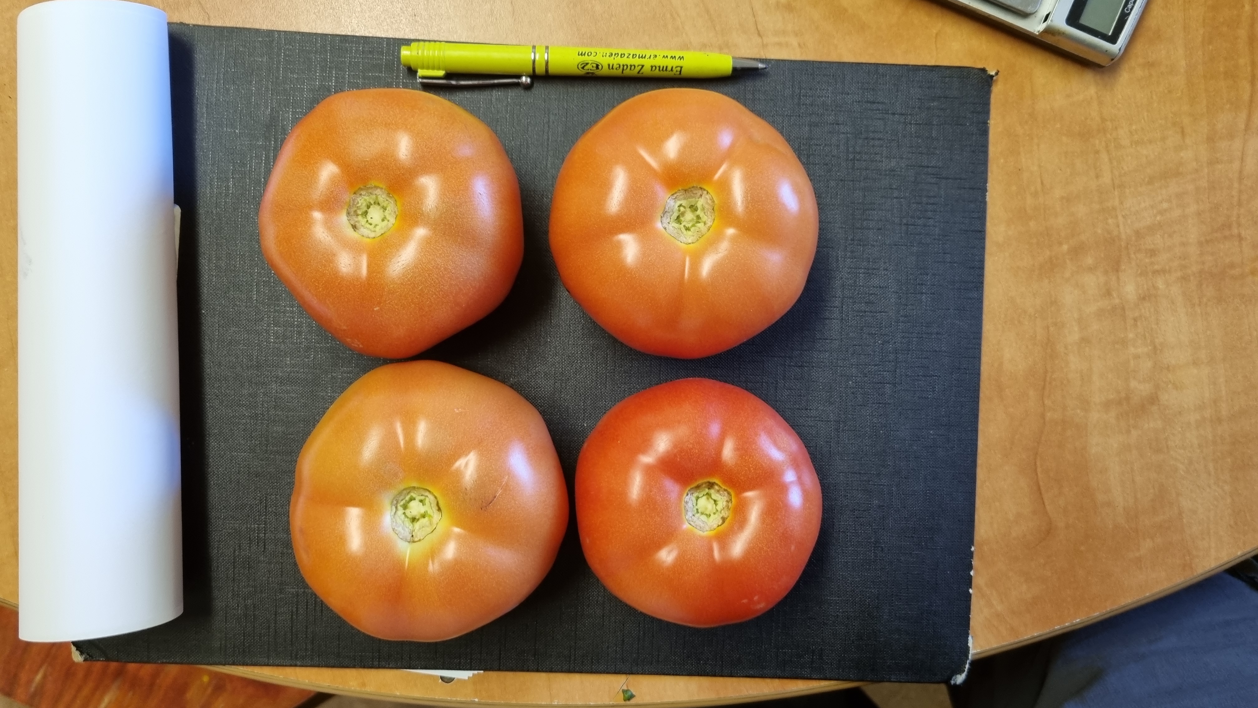 T610 Beef Tomato — view 2 of 2
