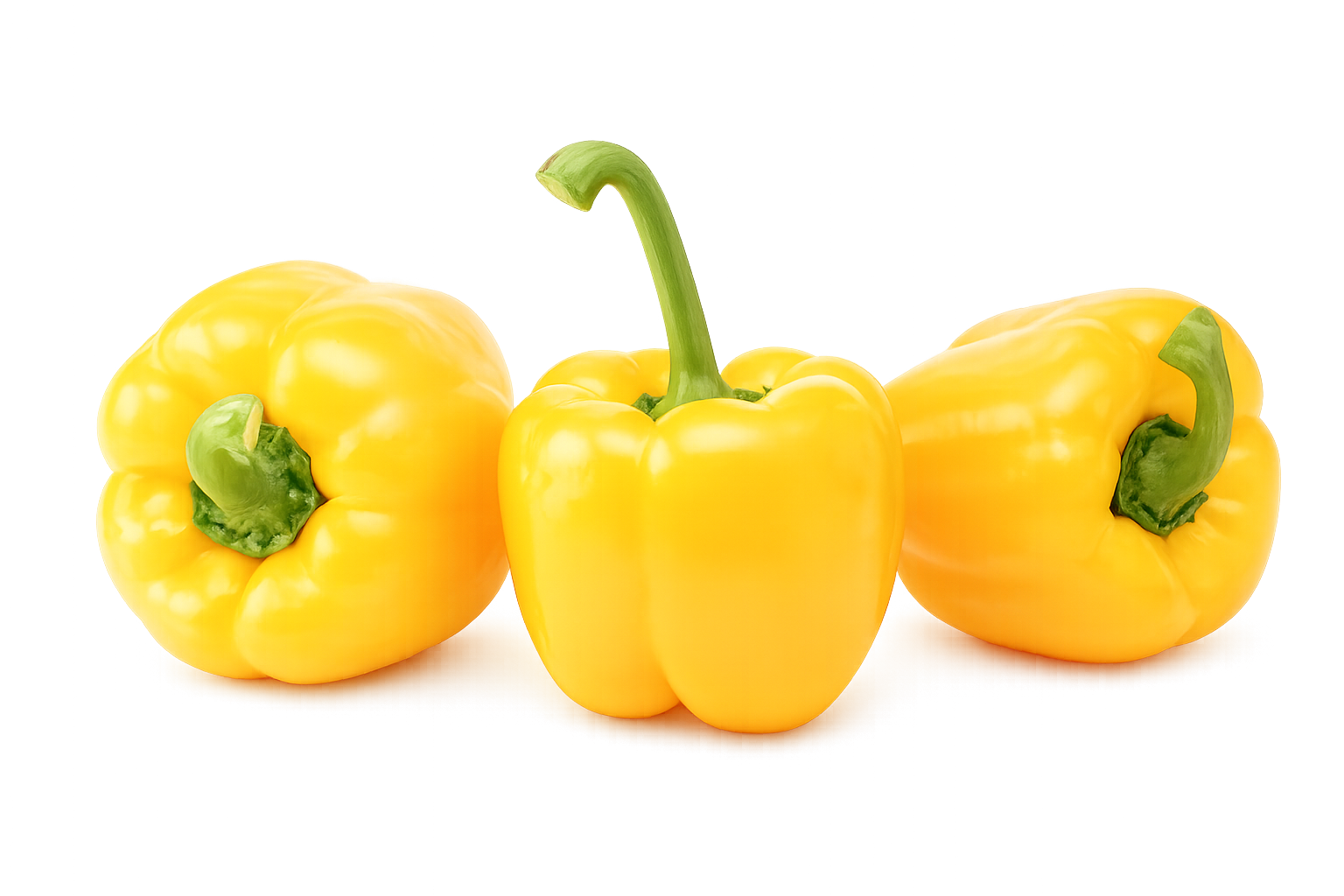 Torino Pepper Blocky Yellow — ripe fruit, Agriva Seeds variety