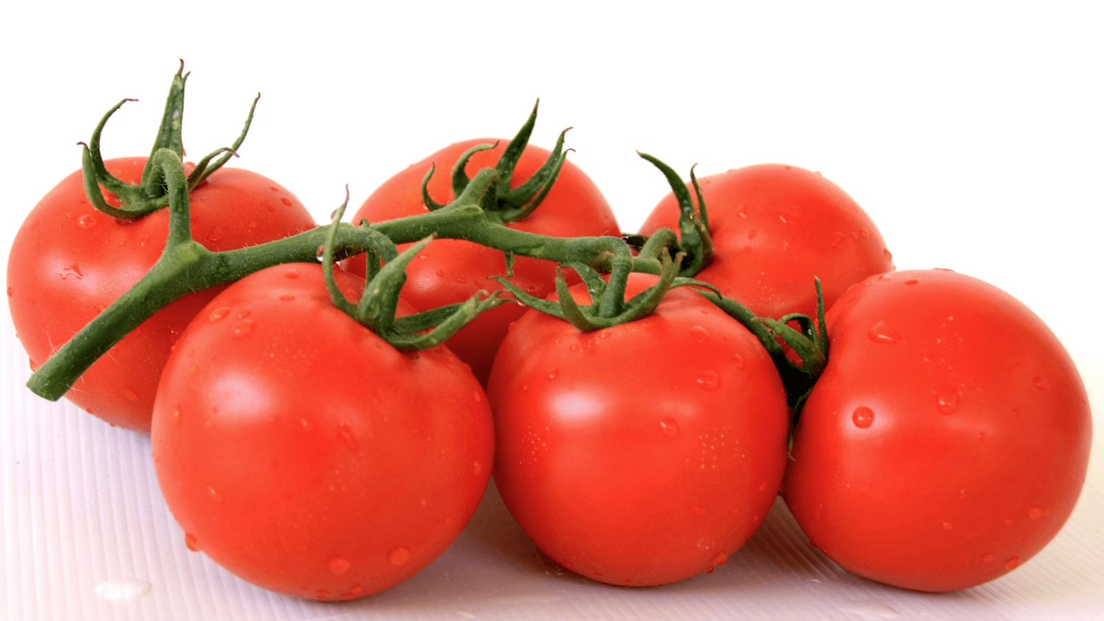 Torrina Round I Cluster — ripe fruit, Agriva Seeds variety