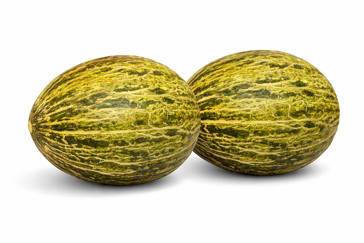 Verano Melon Piel De Sapo — ripe fruit, Agriva Seeds variety